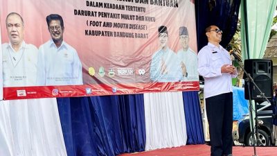 Peternak Terdampak PMK di Kabupaten Bandung Barat Kembali Terima Bantuan dari Kementan
