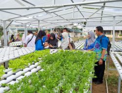 Kenalkan Dunia Pertanian, Kementan Gelar Pelatihan Bimbingan Karir Untuk Guru