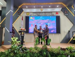 Dongkrak Kualitas Susu Sapi Perah, Kementan Lauching Sapi Jersey di BBIB Singosari