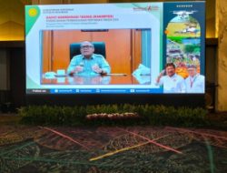 Dalam Tiga Tahun Terakhir, Produksi Beras Tahun 2022 Tertinggi