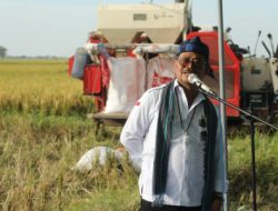 Panen Raya Padi Di Banten, Mentan SYL Pastikan Ketersedian Beras Aman