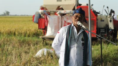 Panen Raya Padi Di Banten, Mentan SYL Pastikan Ketersedian Beras Aman