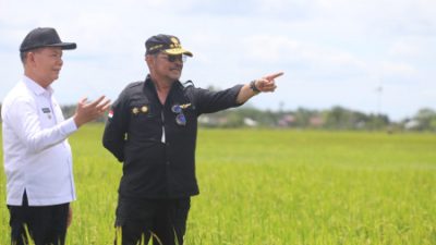 Produktivitas Padi Capai 5 Ton Per Ha, Mentan SYL Pastikan Food Estate Kalteng Berkembang