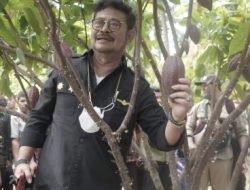 Sulawesi Tenggara, Mentan Tekankan Pengembangan dan Hilirisasi Kakao