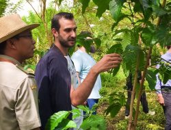 Kembangkan Budidaya Kopi, TEFA SMK-PP Kementan di Lirik Investor Asing