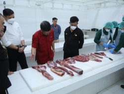 Resmikan RPH Modern, Mentan SYL Dorong Pertumbuhan Industri Peternakan Modern