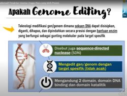 ‘Genome Editing’ Alternatif Teknik Perakitan Varietas Unggul Baru