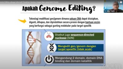 ‘Genome Editing’ Alternatif Teknik Perakitan Varietas Unggul Baru