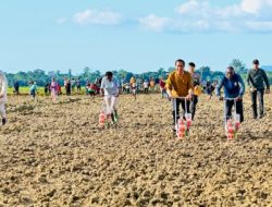 Kick Off Food Estate di Papua, Siapkan Lahan Jagung 10 Ribu Hektare