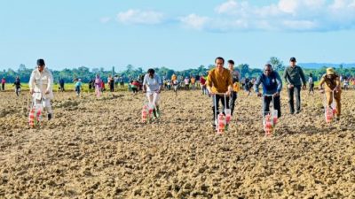 Kick Off Food Estate di Papua, Siapkan Lahan Jagung 10 Ribu Hektare