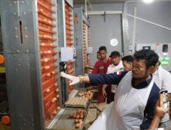 Pantau Ketersedian Telur di Sulsel, Mentan SYL Pastikan Kebutuhan Lebaran Aman