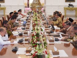 Presiden Minta Mentan Ubah Ketentuan Pupuk Bersubsidi