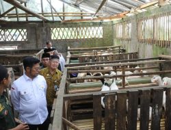 Mentan SYL Ajak Para Peternakan di Kabupaten Bogor Penuhi Kebutuhan Daging Lokal