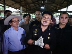 Pantau Ternak Sapi di Bekasi, Mentan SYL Pastikan Ketersediaan Jelang HBKN Aman