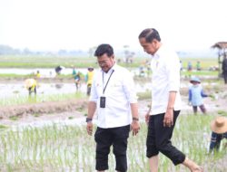 Presiden Bersama Mentan Lakukan Percepatan Tanam Padi di Tuban