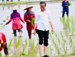 Petani Tuban Gunakan Pupuk Organik, Mentan: Kita Siap Memperluas ke Seluruh Daerah