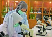 Beasiswa SDM Sawit 2023 Kembali Dibuka