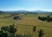 Program CSA Kementan Dongkrak Produktivitas Pertanian