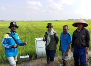 Mitigasi El Nino, Petani Banyuasin Lakukan Pengukuran  GRJ