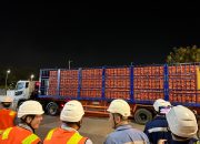 Berhasil, Eksebisi Pengiriman Ekspor Ayam Hidup Indonesia ke Singapura