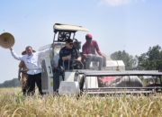 Irjen Kementan Kawal Panen Raya di Kabupaten Cirebon