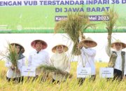 Wamentan Harvick Panen Padi Varietas Unggul di Kabupaten Karawang
