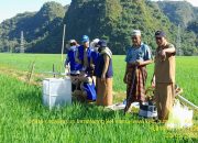 Petani-Penyuluh Pangkajene Lakukan Pengukuran GRK