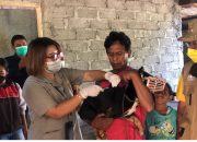 Hingga April 2023 ada 11 Kasus Kematian Karena Rabies