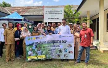 Kementan Sebut Program Pertanian Cerdas Iklim Bisa Cegah Dampak El Nino