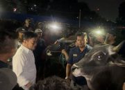 Percepat Izin Jual, Peternak Sapi Bima Sampaikan Terimakasih ke Kementan