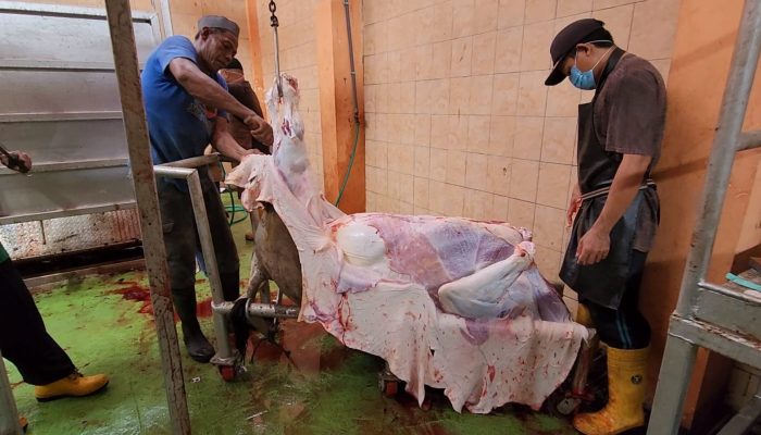 Kementan: Masyarakat Dapat Manfaatkan RPH Untuk Pemotongan Hewan Kurban