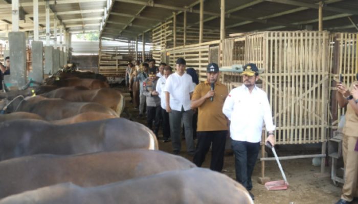 Mentan Pastikan Pemasangan Eartag Sesuai SOP