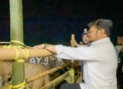 Pastikan Hewan Kurban Sehat, Kementan Turunkan Tim Pemantauan Jelang Idul Adha Tahun ini