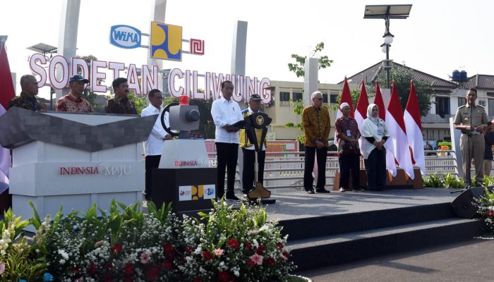 Presiden Minta Normalisasi Ciliwung Harus Segera Rampung