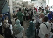 Gapoktan Ngudi Makmur Produksi Beras Pecah Kulit 7 Ton Per Hari