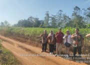 Kementan Lakukan Gerakan Panen Ubi Kayu Di Kabupaten Gowa