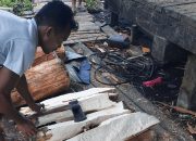 Pacu Hilirisasi Sagu, Kemenperin Kembangkan Sentra IKM di Perbatasan