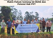 Kunjungi Kebun Pemeriksaan Substantif Manoko, Tim Akademisi UGM dan DJKI Pahami Proses Uji BUSS dan Potensi Hak PVT