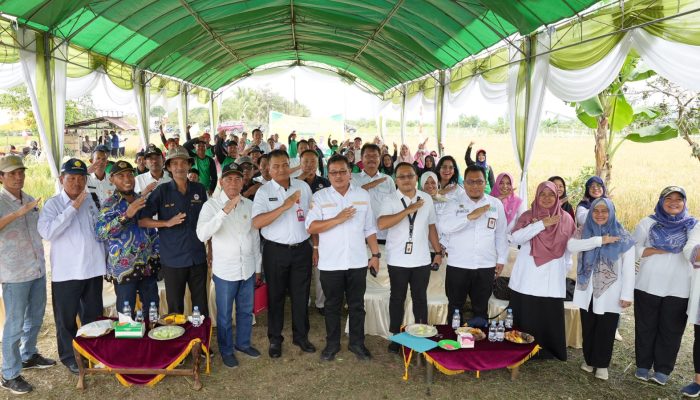 Implementasikam Genta Organik, Petani Kaltim Sukses Capai IP 400