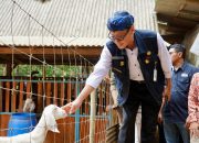 Kementan Pastikan Petani Harus “Okane Mochi”