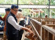 Diversifikasi Produk dan Olahan Kambing Jadi Bukti Keberhasilan P4S Lurisae Purworejo