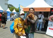 Menuju Indonesia Bebas Rabies 2030, Kementan Gelar Vaksinasi Serentak di Seluruh Indonesia