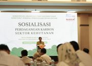 Perdagangan Karbon untuk Pencapaian Target NDC, Kontribusi Indonesia bagi Agenda Perubahan Iklim Global