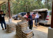 BKSDA Sumsel Amankan 3.306 Satwa Tidak Dilindungi Tanpa Dokumen