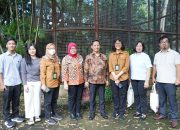 KLHK Repatriasi 73 Burung dari Filipina