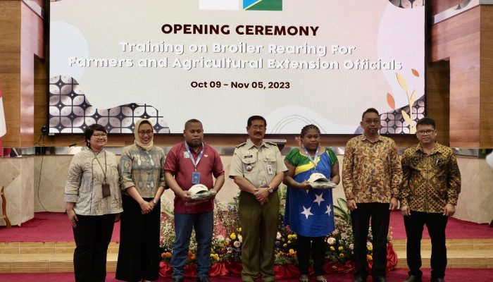Belajar Budidaya Ayam Broiler, Peternak dan Penyuluh Negara Kepulauan Solomon Datangi Indonesia