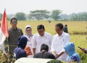 Presiden Bersama Plt Mentan Panen di Indramayu, Petani Termotivasi