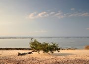 Mengintip Pantai Gili Meno, Keindahan Bak Surga Kecil di NTB