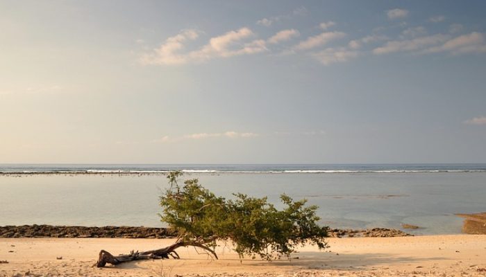 Mengintip Pantai Gili Meno, Keindahan Bak Surga Kecil di NTB