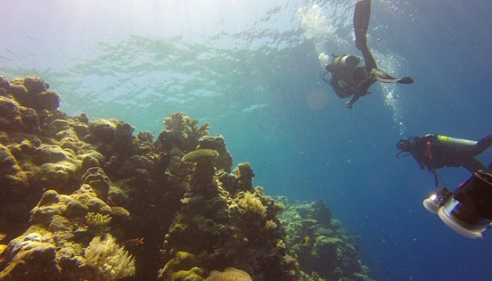 5 Spot Freediving dengan Keindahan Bawah Laut Terbaik di Indonesia